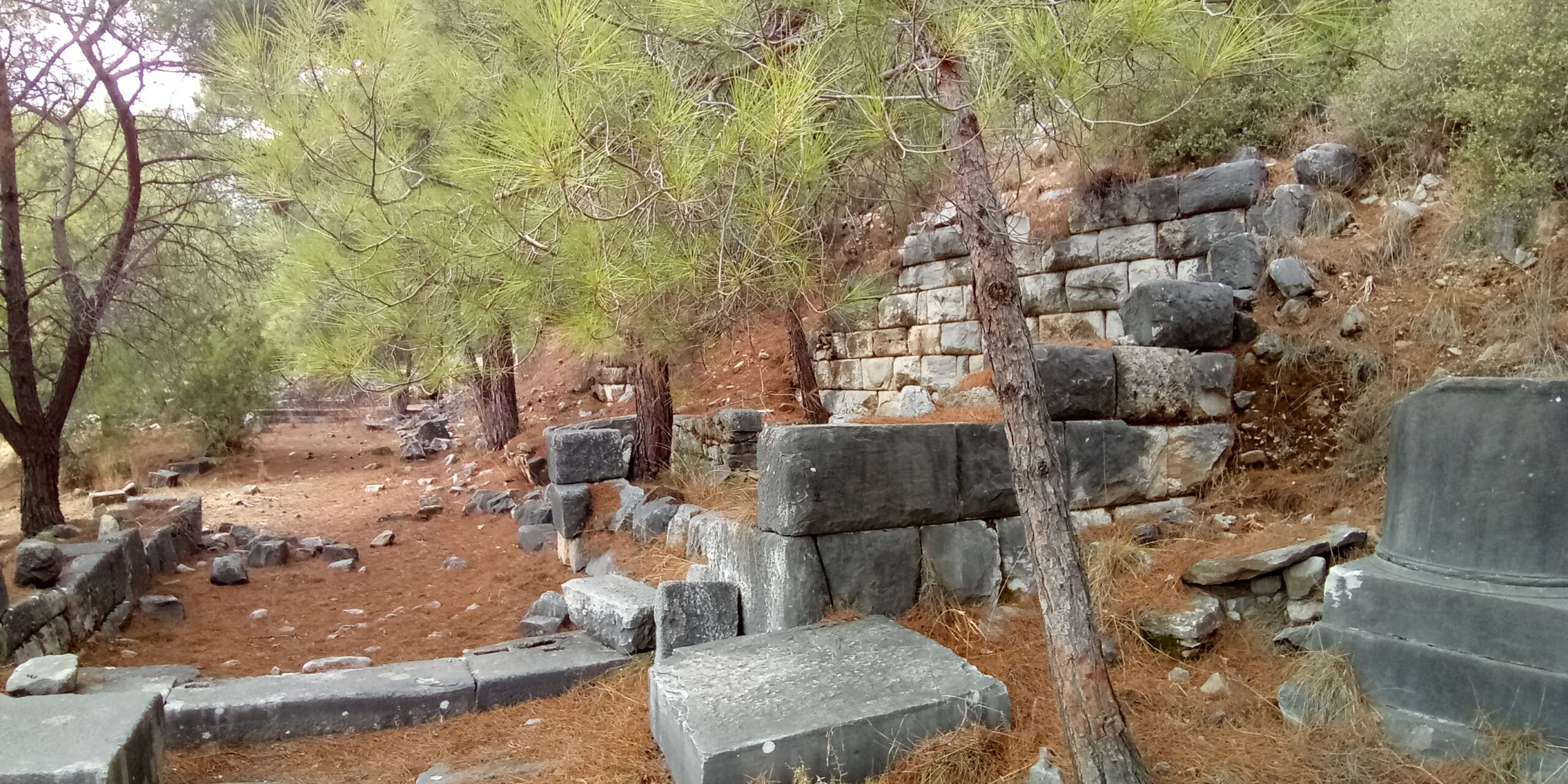 Sanctuary_of_Demeter_Malophoros,_Priene